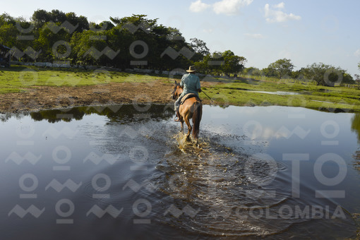 Llanero en caballo,Arauca / Ranger on horse,Arauca